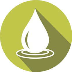 Lead Sustainablity Lead Sustainablity
