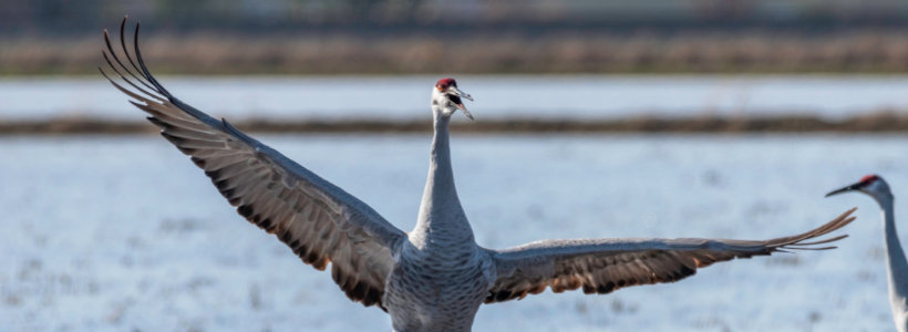 Nature Program Expanding: New Classes, New Locations