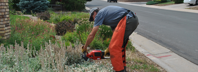 Sustainability Committee Secures Funding for Electric Lawn Equipment