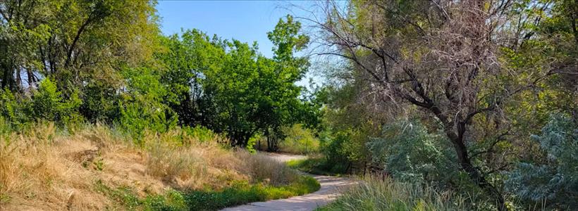 Share Your Feedback on Bear Creek Trail Project Ideas