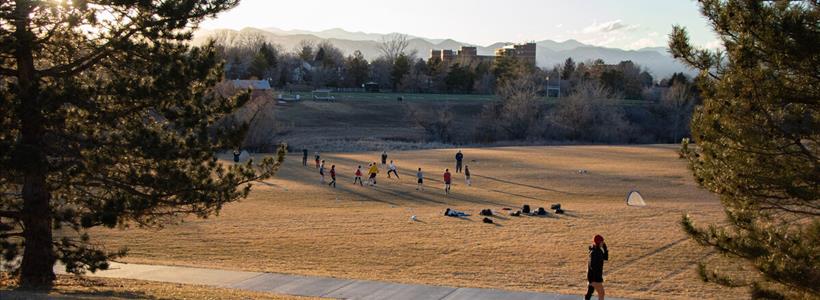 Call for Art: Puma Park