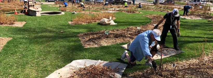 NEW DATE: Grow Your Gardening Skills at the Annual Rose Pruning Workshop