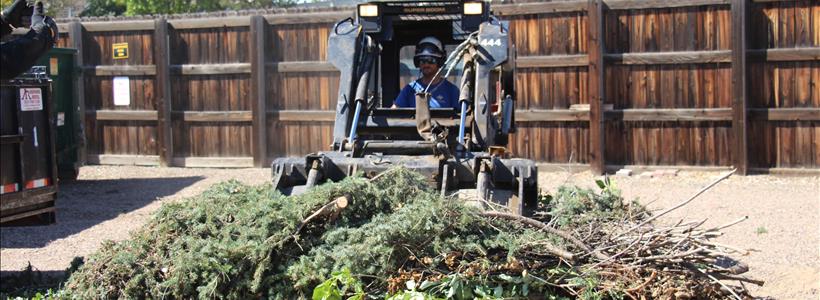 Free Chipping and Mulch Event