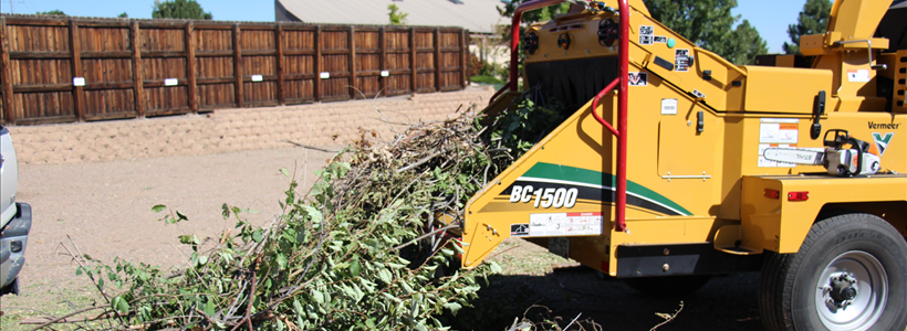 South Suburban Community Tree Recycling Day Oct. 4