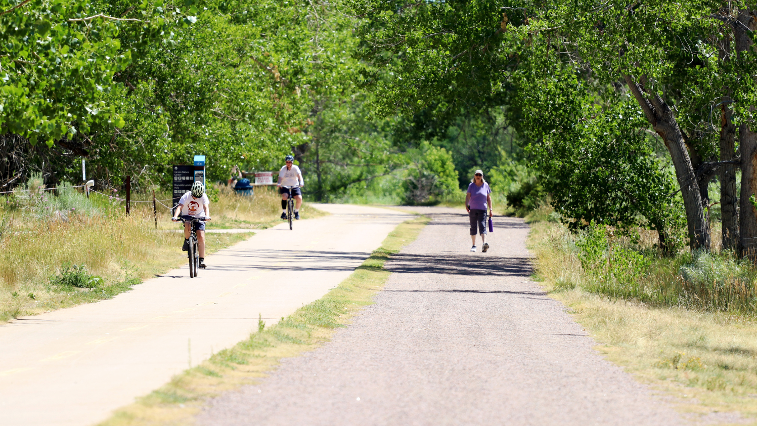 Share Your Input: Mary Carter Greenway Study