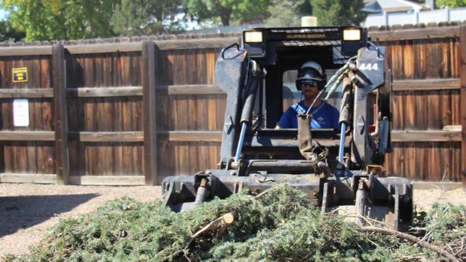 Free Chipping and Mulch Event