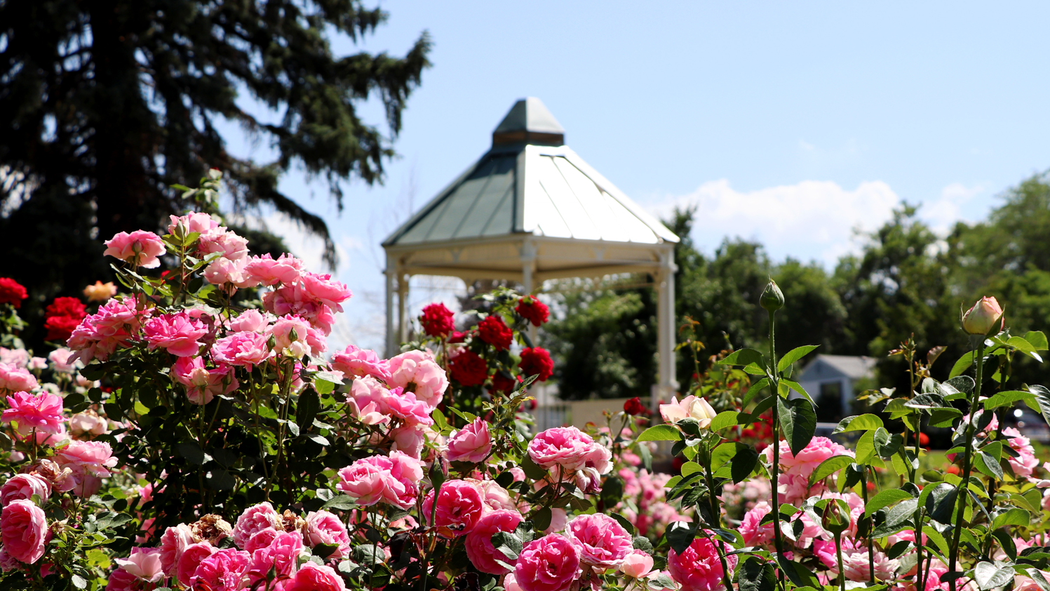 Spring Events at South Suburban