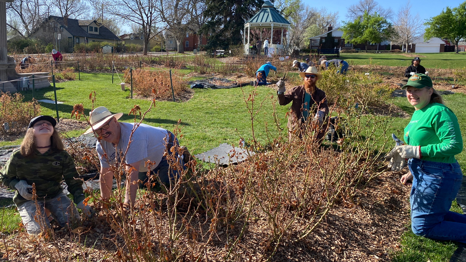Volunteer at the 2026 War Memorial Rose Garden Series